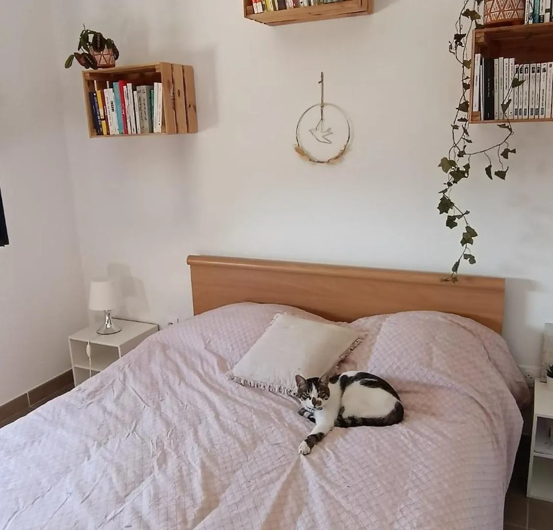 Maison Au Pied Du Mont Ventoux Saint-Pierre-de-Vassols Holiday home
